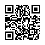 A20220300 QRCode