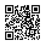 A20820304 QRCode