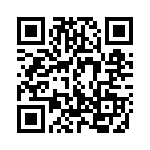 A38210804 QRCode