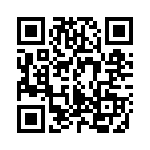 A40130307 QRCode