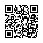 ACM24DSEI-S13 QRCode