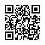 B048T096T24 QRCode