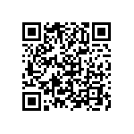 B25620B1297K983 QRCode