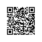 B25620C1347K321 QRCode