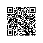 B32520C3393K289 QRCode