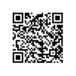 B32520E6223K000 QRCode