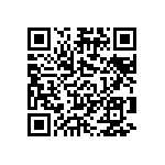 B32521C1224M289 QRCode