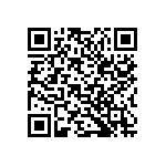 B32522E6224K189 QRCode