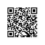 B32522Q1335K289 QRCode