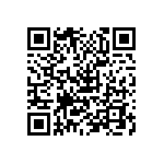 B32524Q3685J189 QRCode