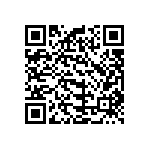 B32529C1333K000 QRCode