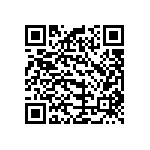 B32529C1334K000 QRCode