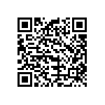 B32529C1334M289 QRCode