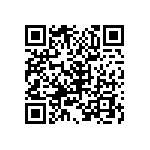 B32529C3104M289 QRCode