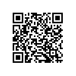 B32529E6333J189 QRCode