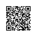 B32529E6333K289 QRCode