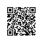 B32560J6103K289 QRCode