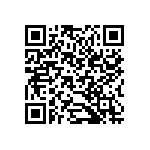 B32560J6153K189 QRCode