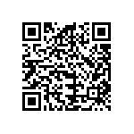 B32560J6332K289 QRCode