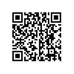 B32560J6333K289 QRCode