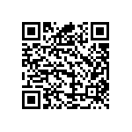 B32653A0393J000 QRCode