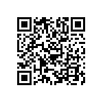 B39931B4040Z810 QRCode