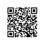 B41789K5338Q001 QRCode