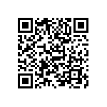 B43821A4685M000 QRCode