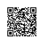 B57332V5103F360 QRCode