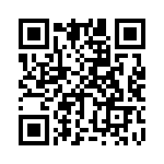 B57411V2331J62 QRCode