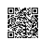 B57431V2333K062 QRCode