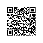 B59300M1100A070 QRCode