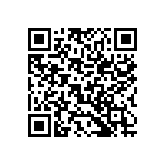 B64290L0040X065 QRCode