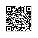 B65646A0250A087 QRCode