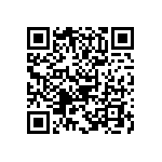 B65651T0160A048 QRCode