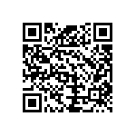 B65713A0000R087 QRCode