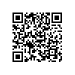 B65809A0250A041 QRCode