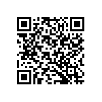 B65813J0063A087 QRCode