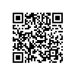 B65813J0250A041 QRCode