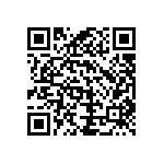 B65815P0000R087 QRCode