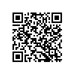 B65819P0250J087 QRCode