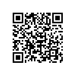 B65887E0315A087 QRCode