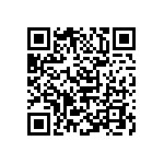 B66307G0500X187 QRCode