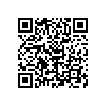 B88069X2391B502 QRCode