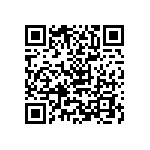 B88069X3751B502 QRCode