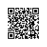 BACC63CD28-22SZH QRCode