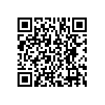 BCS-128-L-D-DE-013 QRCode