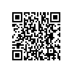 BCS-132-L-S-DE-003 QRCode