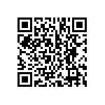 BCS-133-L-D-PE-040 QRCode