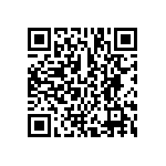 BCS-137-L-D-DE-013 QRCode